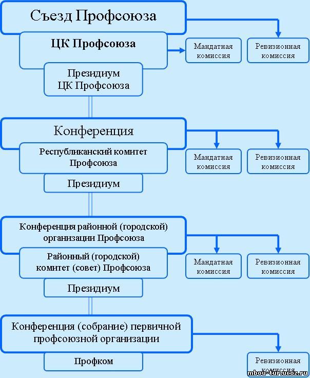 Структура профсоюза схема